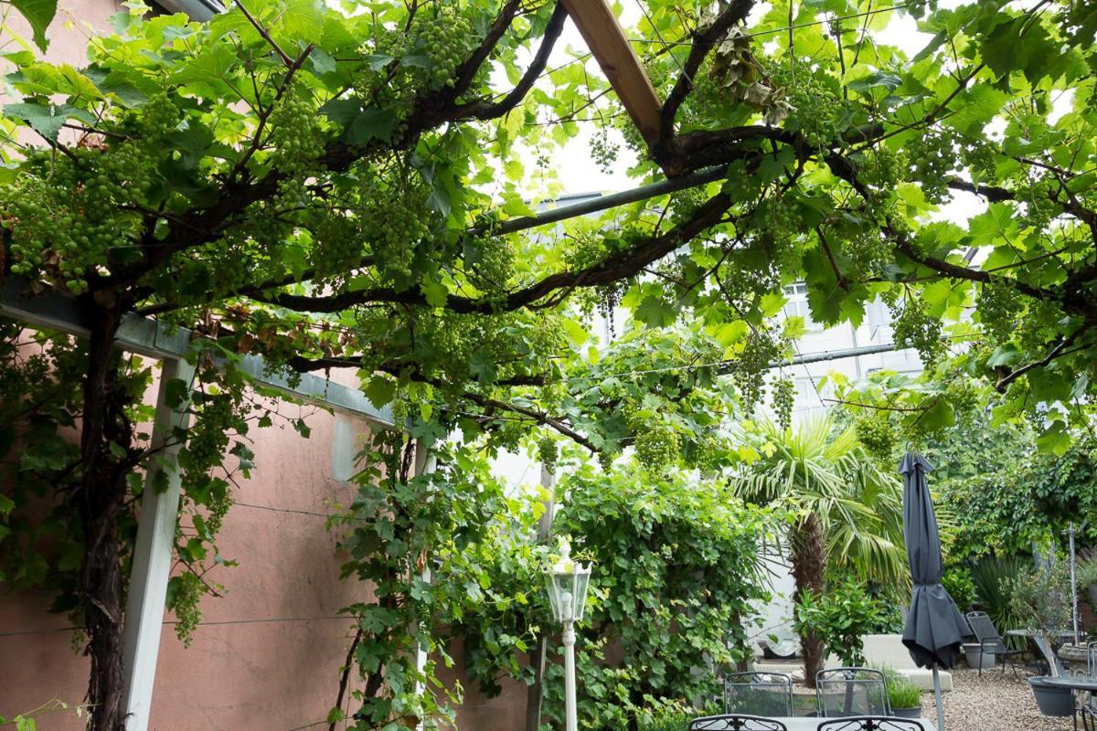 Hotel Garni Landhaus Zur Issel 伊瑟尔堡 外观 照片